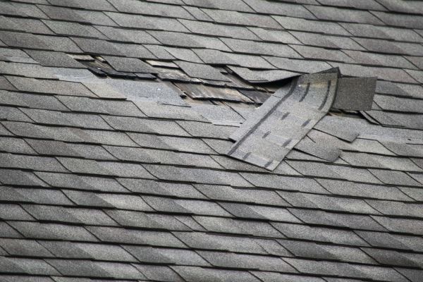 Minor Roof Repair in Windsor