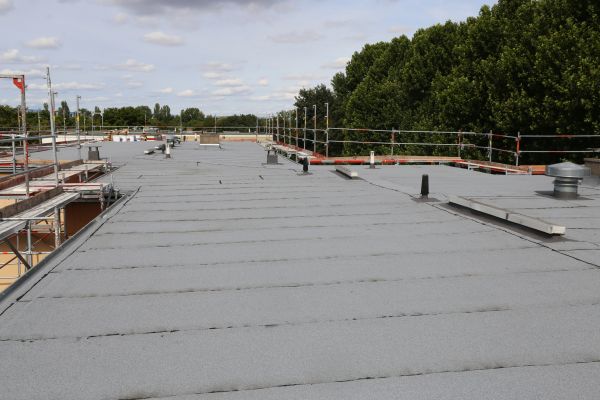 Single Ply Roof Repair in Windsor