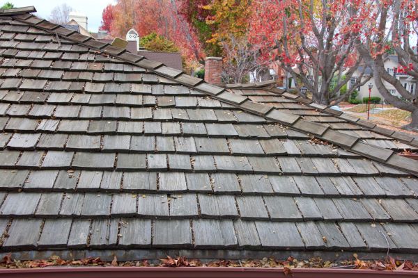 Wood Shingle Roof Installation in Windsor