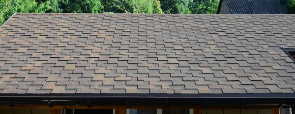 Slate Shingles Repair in Windsor