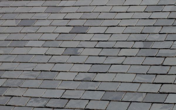 Slate Roof Leak Repair in Windsor